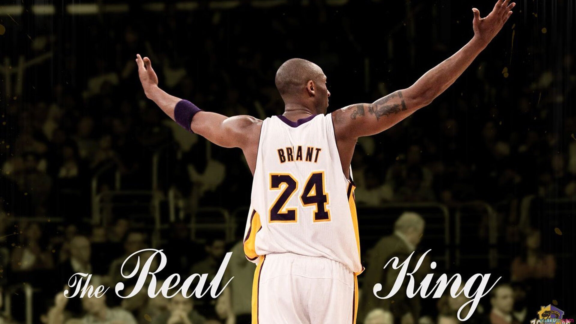 从墨尔本到世界，兹维列夫的澳网翻盘如何点燃戴维斯杯的赛场